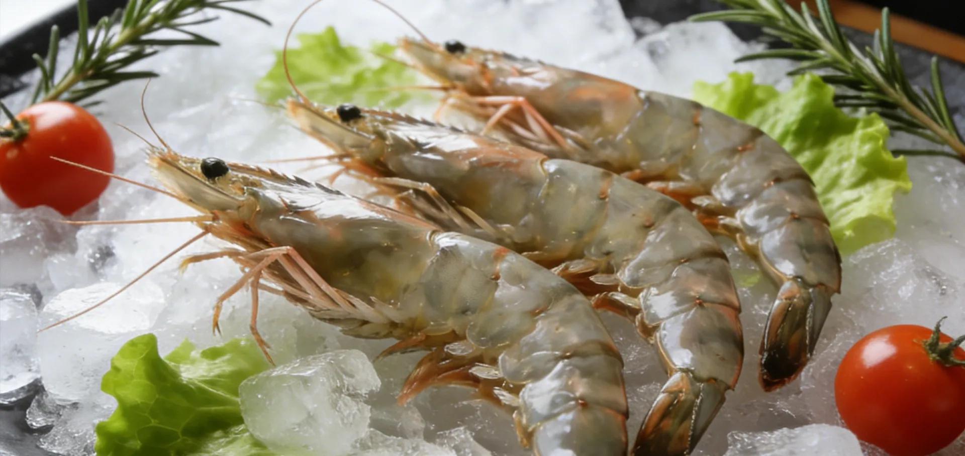Fresh Shrimp